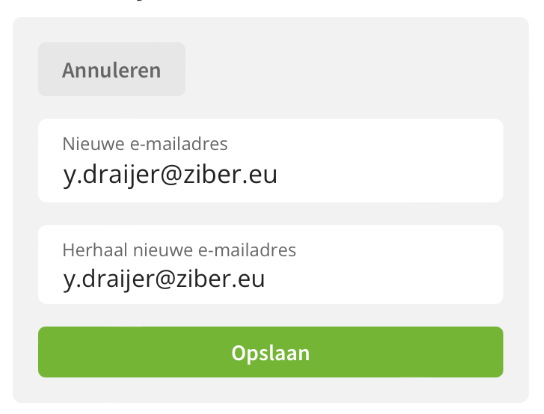 Scherm­afbeelding
