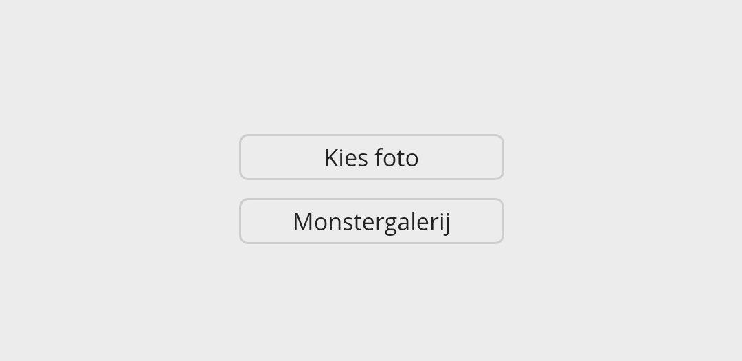 select-photo-video.png