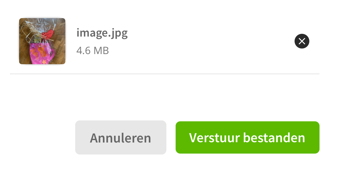 verstuur_bestanden.png